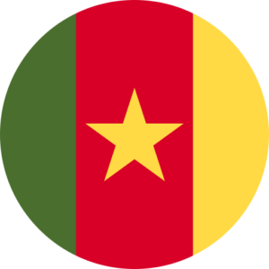 Cameroon olympics 2024